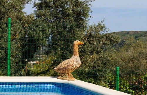 Santa Brigida Apartment | LIVE FINCA GAMONAL BJ 2
