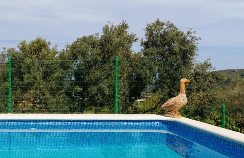 Santa Brigida Apartment | LIVE FINCA GAMONAL BJ 5