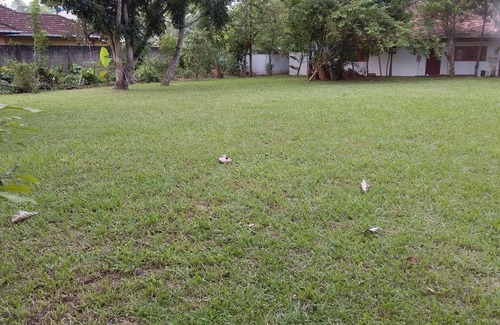 Unawatuna House | Live home away from home in a peaceful neighborhood in Unawatuna