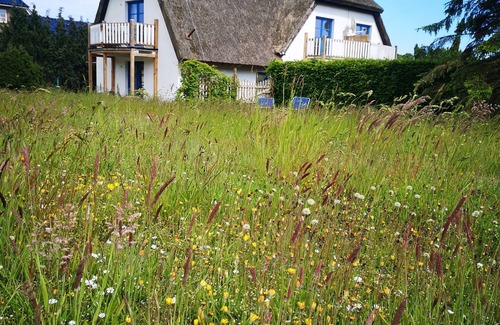 Lancken-Granitz Apartment | Living under "Reet" family friendly, dogs allowed, garden + large open space