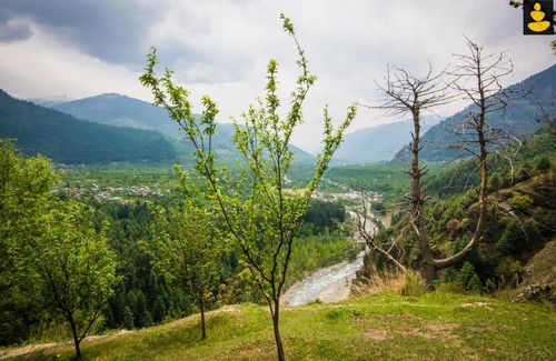 Manali House | LivingStone Valley View Homestay Manali