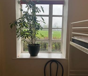 Llanfyllin Hostel | Llanfyllin Workhouse - Y Dolydd