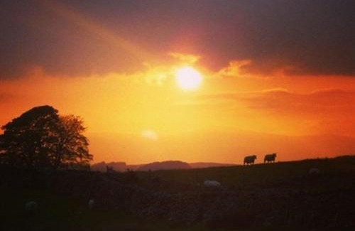 Rhydlydan Bed & Breakfast | Llwyn Onn Guest House, North Wales