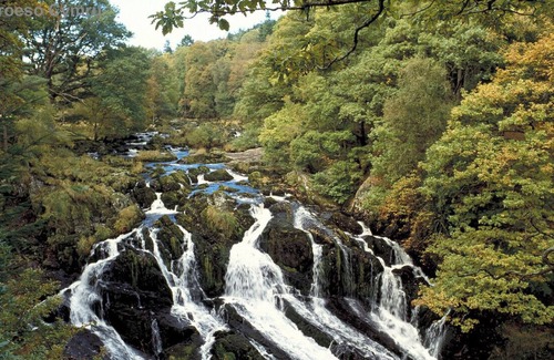 Gwynedd- Snowdonia House | Llyn Alwen Lodge - Two Bedroom House, Sleeps 4