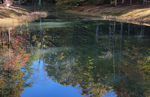 Crab Orchard Cabin | Located minutes from golf & a nature reserve, stay in a private 5 acre oasis