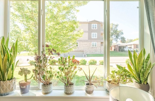 Arvada House | Location! Family Friendly + amenities galore