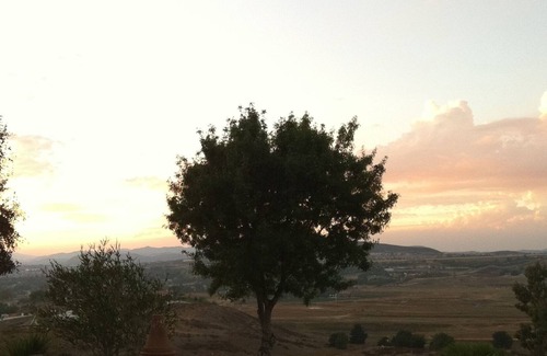 Temecula House | Location, location, location! Authentic wine country experience.