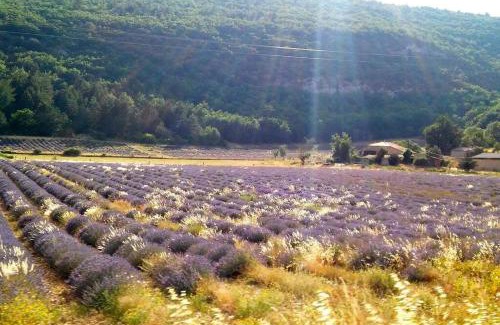 Sault House | Location provence ventoux sault