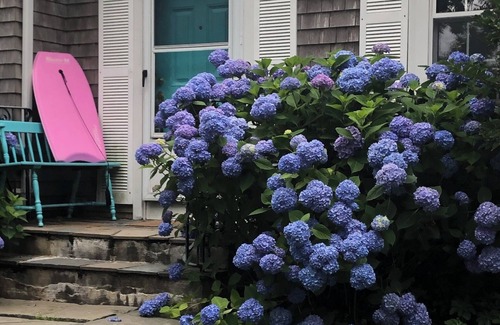 Cliff Walk House | Location! Walk to Beach/Downtown Newport Cottage
