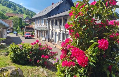 Sondernach House | Locations des 3 sommets avec Sauna et Spa en Alsace