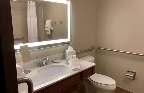 Roanoke Cabin | Lodge ADA Room + Tub | Park View | Resort Access