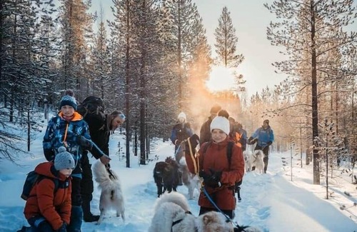 Inari Ski Chalet | Lodge Arctic 2 - sauna, glass roof & view of Lake Inari