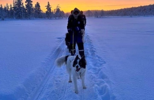 Inari Ski Chalet | Lodge Arctic 2 - sauna, glass roof & view of Lake Inari