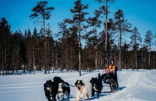 Inari Ski Chalet | Lodge Arctic 4 - sauna, glass roof & view of Lake Inari