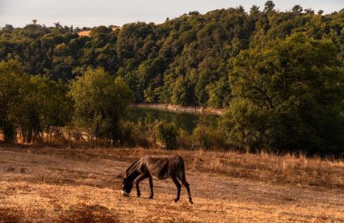 Pinay House | Lodge Grand Confort - 1h de Lyon - Vue sur Loire