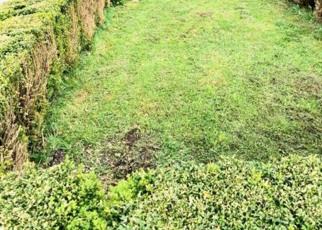 Pian di Novello Apartment | Lodge Pizzo Alpestre