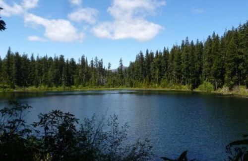 Monclar-de-Quercy Cabin | LODGE ROYAL QUERCY
