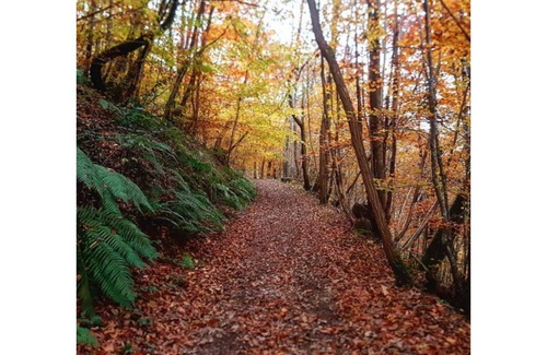 Rimont House | Lodging between forest and streams