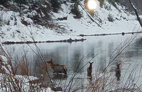 Jackson Hole Cabin | Lodging Near Grand Teton National Park And Jackson Hole