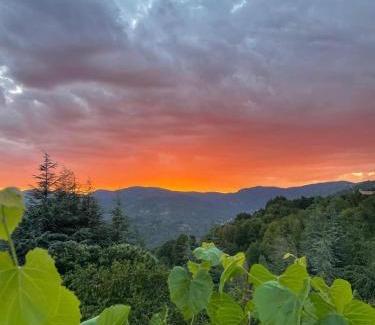 Chirols House | Loft avec terrasse panoramique