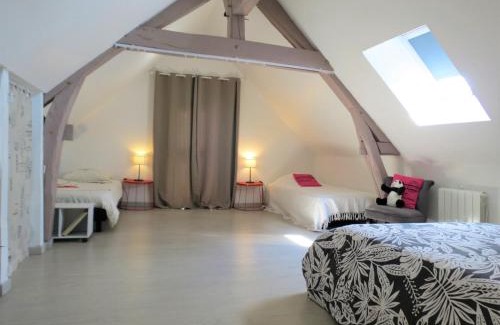 Montrichard Val de Cher Apartment | Loft centre ville de Montrichard Chateaux Zoo