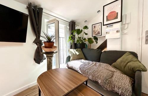 Castres Apartment | Loft Hortensia Climatisé hyper Centre Castres