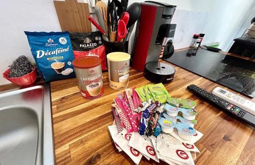 Castres Apartment | Loft Hortensia Climatisé hyper Centre Castres