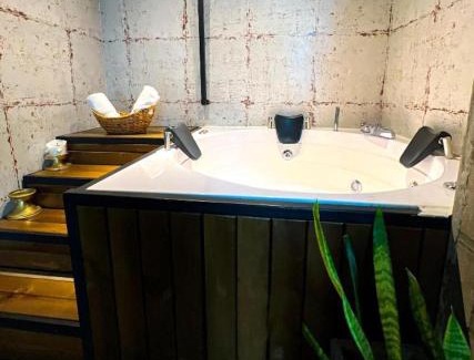 Zona Rosa Apartment | Loft Lleras King & Jacuzzi