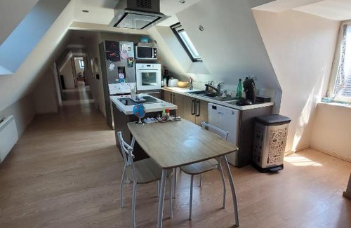 Oloron-Sainte-Marie Apartment | Loft spacieux et lumineux