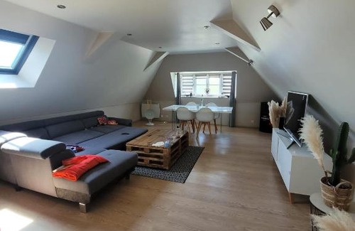 Oloron-Sainte-Marie Apartment | Loft spacieux et lumineux