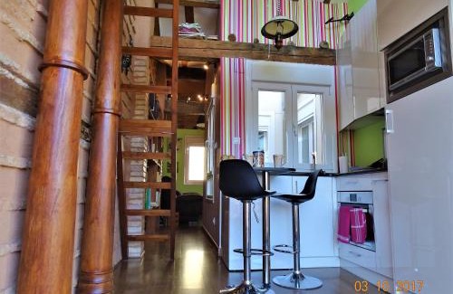 Logrono Historic Centre Apartment | Loft-Terraza Laurel