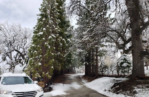 Tehachapi Cabin | Log Cabin at Kern County Mountain Park area covered with big oak and pine trees