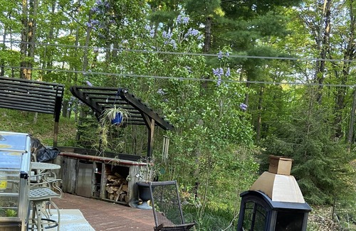 Mountain Grove Cabin | Log Cabin Getaway for Nature Lovers. An escape from the city with animal friends