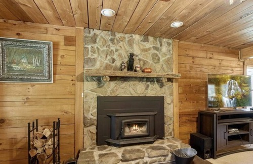 Roan Mountain Cabin | Log Cabin near Ski Mountains