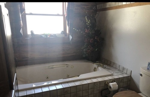 Sheboygan Falls House | Log Cabin Style Home on 28 acres of land