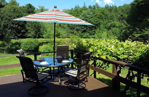 Cochecton Cabin | Log Cabin with Hot Tub, Sauna, Private Pond, 23 acres - 4.6 mi to Bethel Woods