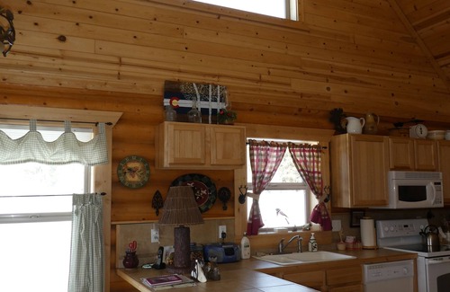 Warm Springs Cabin | Log Home in Warm Springs Ranch, Fairplay, CO STR License 24-0249n