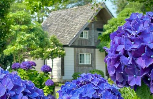 Aewol House | Log Park Dochidol Ranch