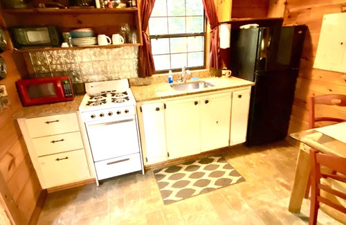Ellijay Cabin | Log! Tiny home.Pond view.Owner built.Old growth secluded woods yet near town.