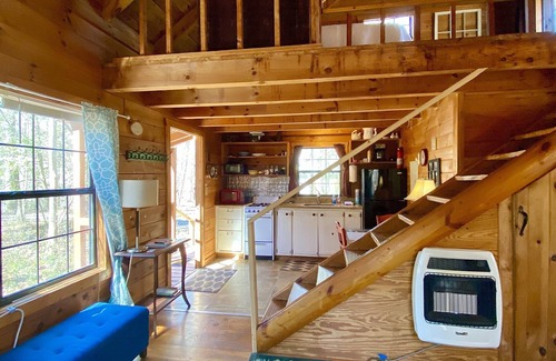 Ellijay Cabin | Log! Tiny home.Pond view.Owner built.Old growth secluded woods yet near town.