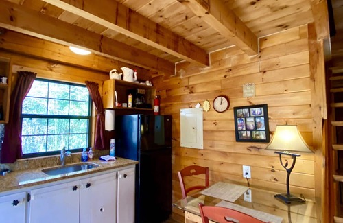 Ellijay Cabin | Log! Tiny home.Pond view.Owner built.Old growth secluded woods yet near town.