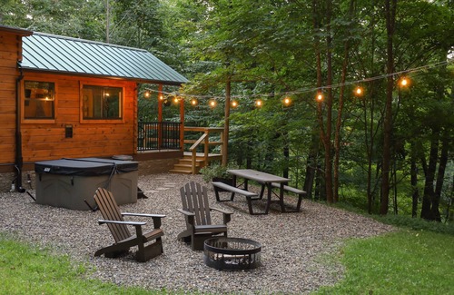 Allegheny Mountains Cabin | LogCabin w/hot tub l borders Mon. National Forest