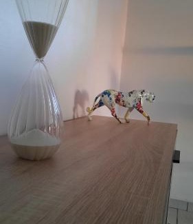 Marigot Apartment | logement EDEN