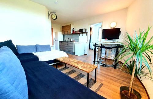 Chasseneuil-du-Poitou Apartment | Logement entier 30m² - 800m du Futuroscope