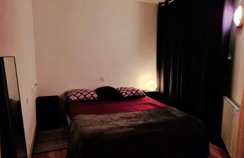 Chasseneuil-du-Poitou Apartment | Logement entier 30m² - 800m du Futuroscope