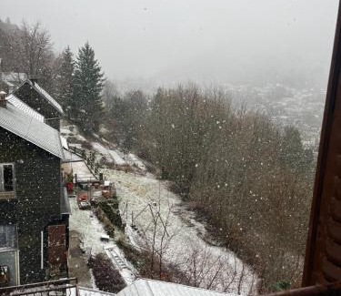 Mont-Dore House | Logement Romily avec vue Montagne