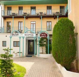 Faverges-Seythenex Hotel | Logis Hôtel de Genève et Restaurant , Faverges-Seythenex