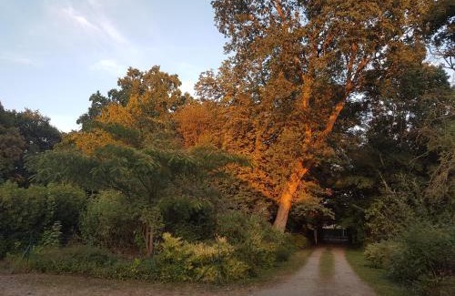 Saint-Pavace House | Logis Hôtel Relais Des Caillères