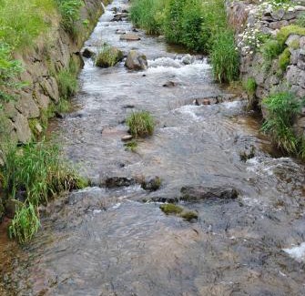 Le Bonhomme Hotel | Logis Hôtel Restaurant La Tête Des Faux