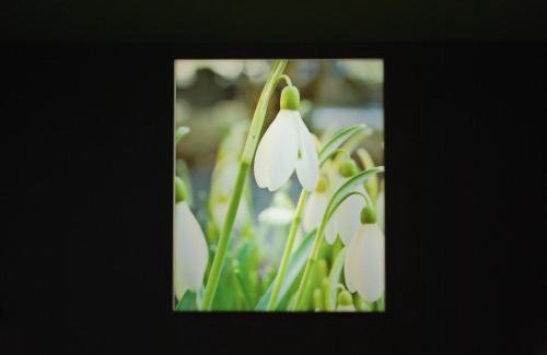 Bonnetage Hotel | Logis Hôtel & Restaurant Les Perce-Neige